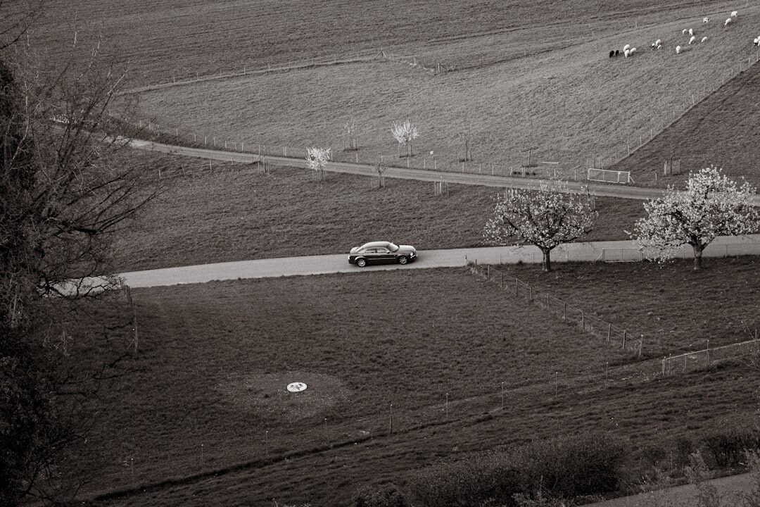 Group of classic cars driving in a rally on a rural Uruguayan road